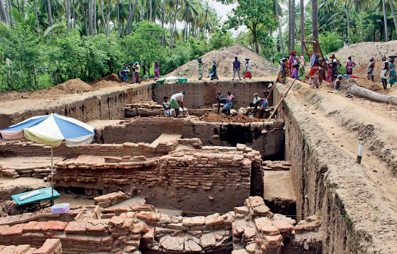 THE AGE OF DISAGREEMENT